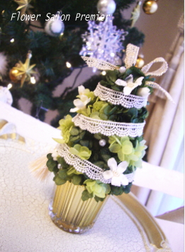 20100111_4.jpg