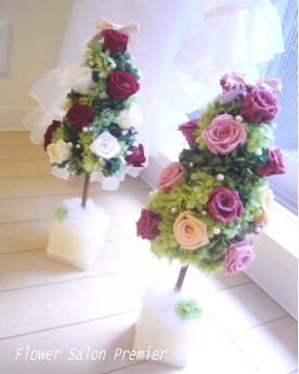 20100111_7.jpg