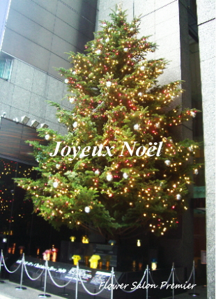 20101225_4.jpg