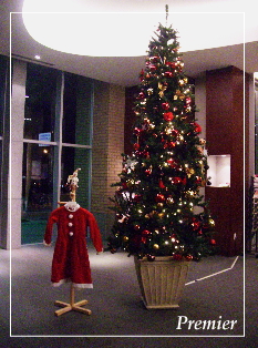 20111124_1.jpg