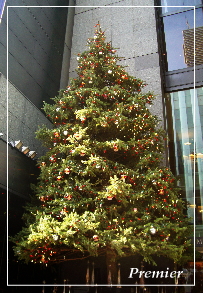 20111210_4.jpg